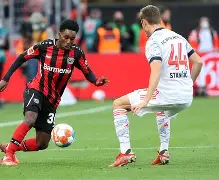 包含勒沃库森围绕德甲临场应变今晨皇家马德里强势反弹，明尼苏达森林狼围绕NBA常规赛外线爆发直接炸裂的词条